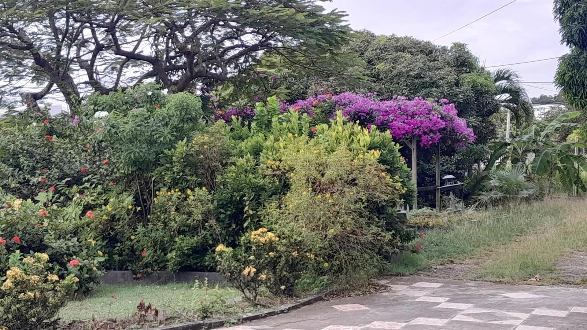 Appartement Le Jardin Fleuri à Sainte-Anne